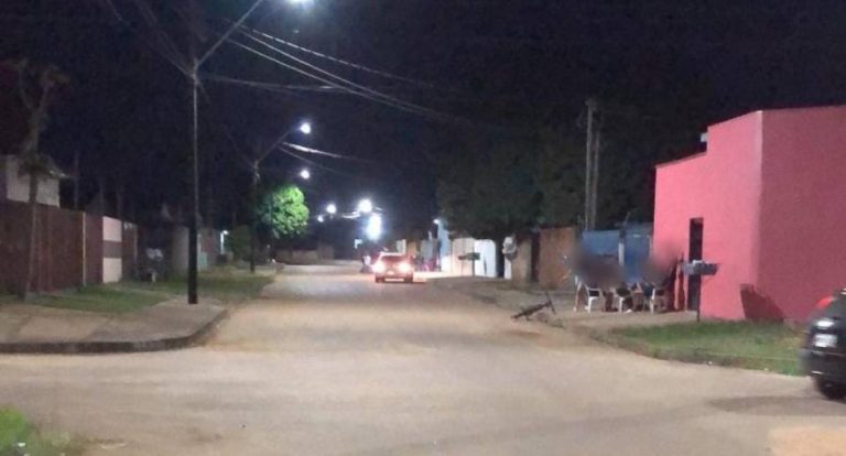 Pit bull solto ataca dois cães; um morre e outro fica ferido