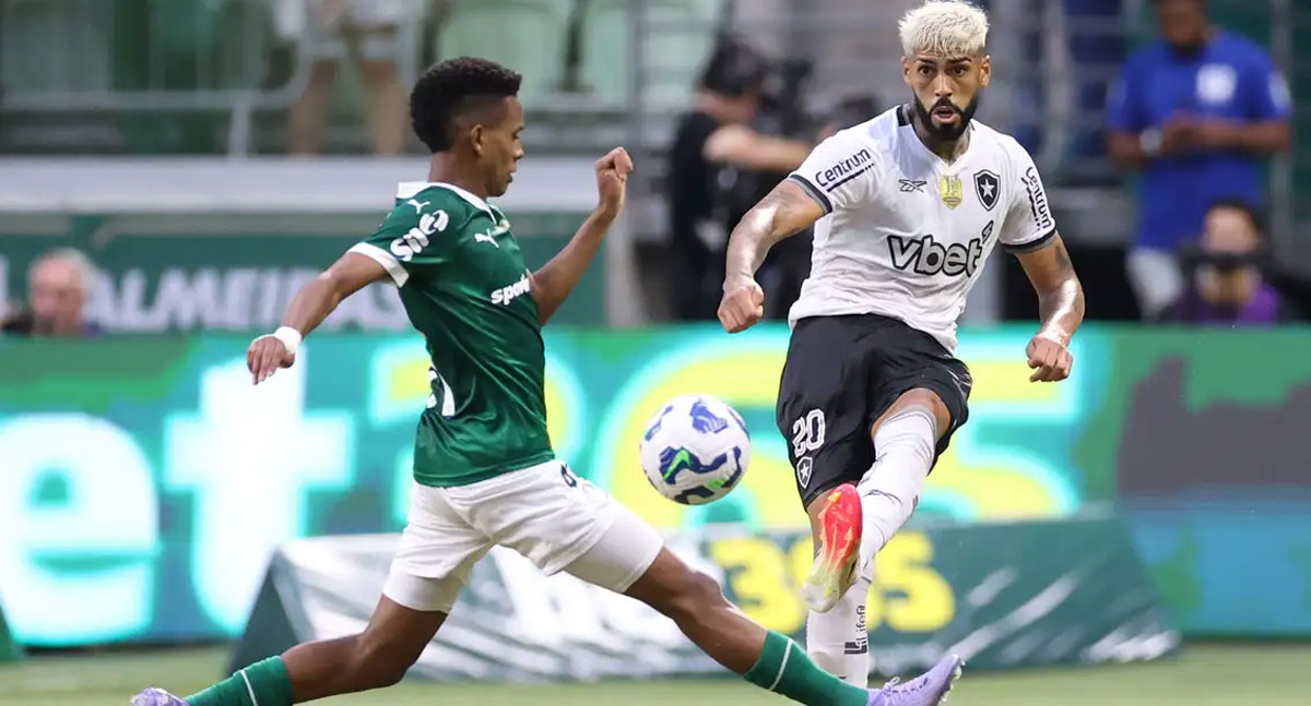 © Vitor Silva/Botafogo/Direitos Reservados