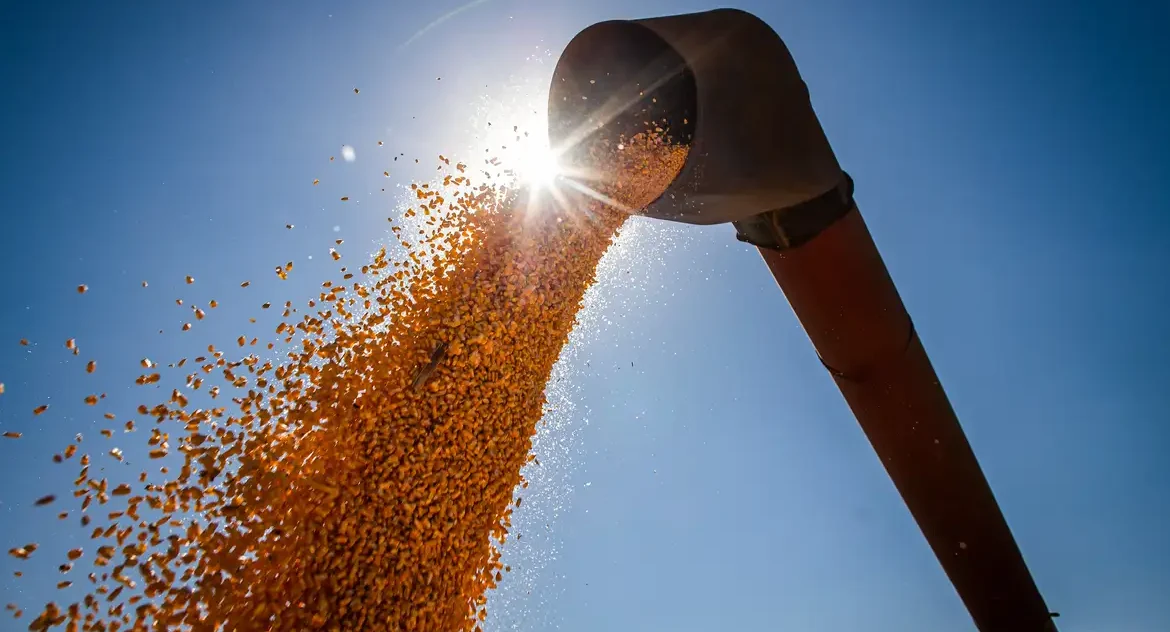Brasil deve bater novo recorde na produção de grãos, com estimativa de 336,1 milhões de toneladas na safra 2024/25