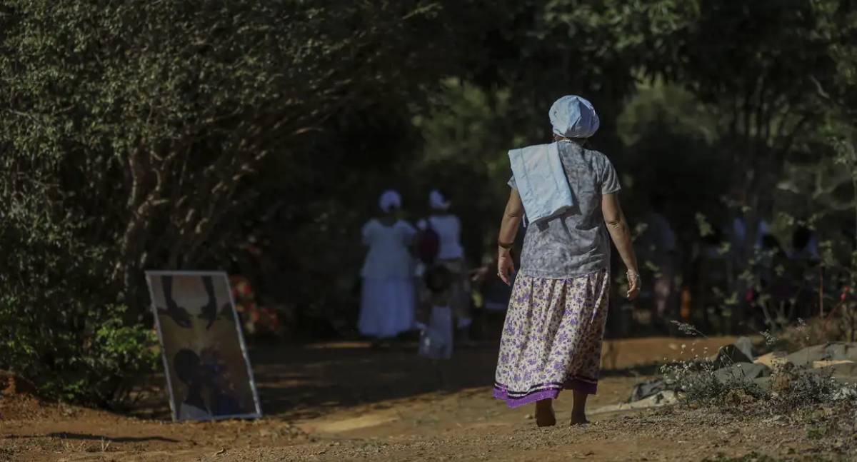 11,8 milhões de brasileiros vivem em áreas de conservação, revela Censo 2022