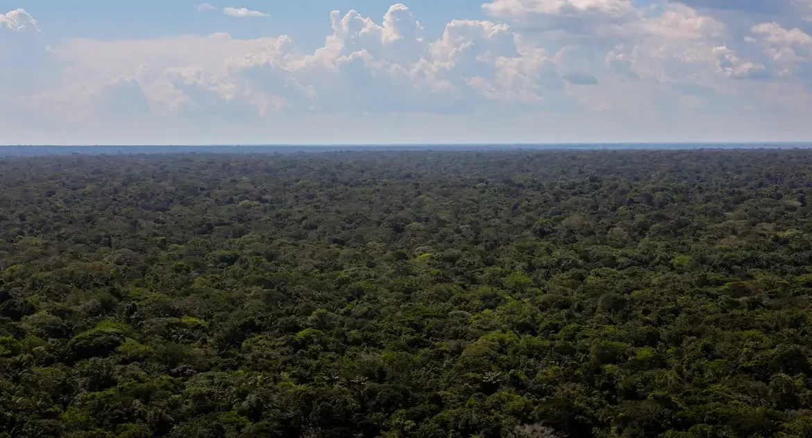 Organizações sociais propõem plano de investimentos para conservação e desenvolvimento sustentável da Amazônia na COP30