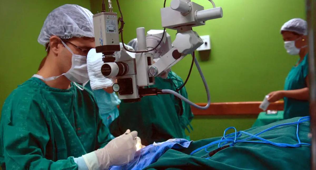 Câncer de intestino que vitimou Preta Gil é o 3º mais comum no Brasil