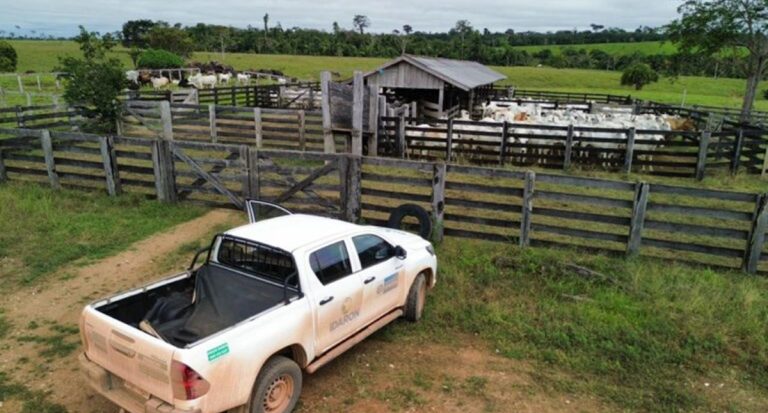 Ações de prevenção contra a raiva animal são reforçadas em Nova Mamoré - News Rondônia