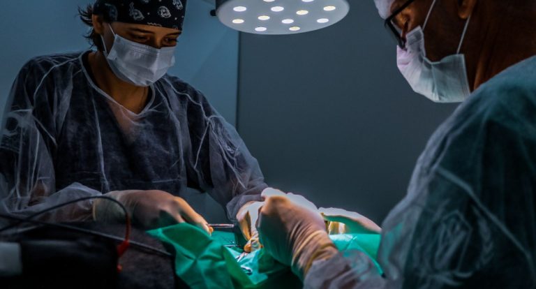 Prefeitura de Porto Velho divulga resultado preliminar de seleção para serviços veterinários - News Rondônia
