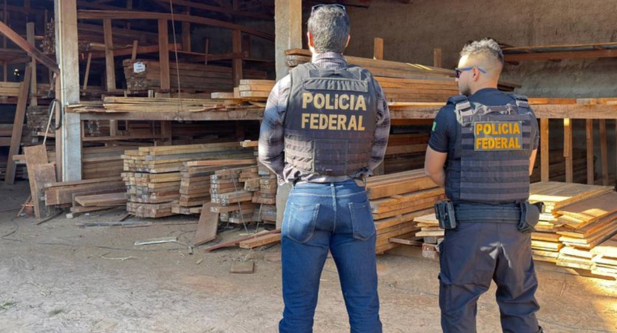 BENEVOLENTIA: PF deflagra Operação contra extração ilegal de madeira em Terras Indígenas de Rondônia