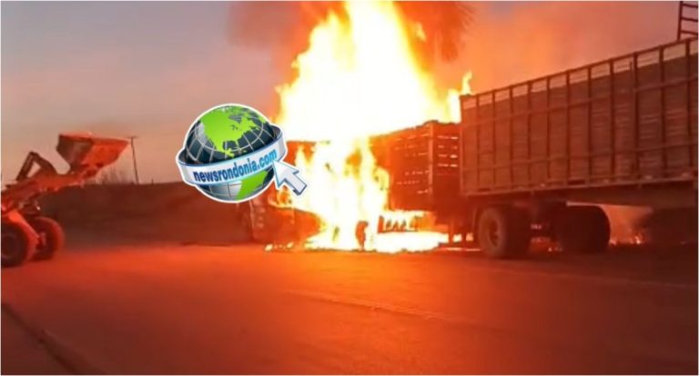 Caminhão boiadeiro pega fogo e mata vários animais na BR-319