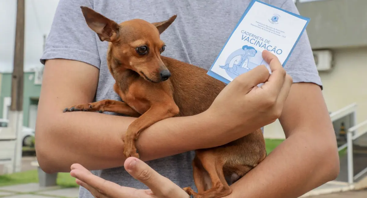 Caso suspeito de Leishmaniose Visceral Canina é identificado em Porto Velho após anos sem registros