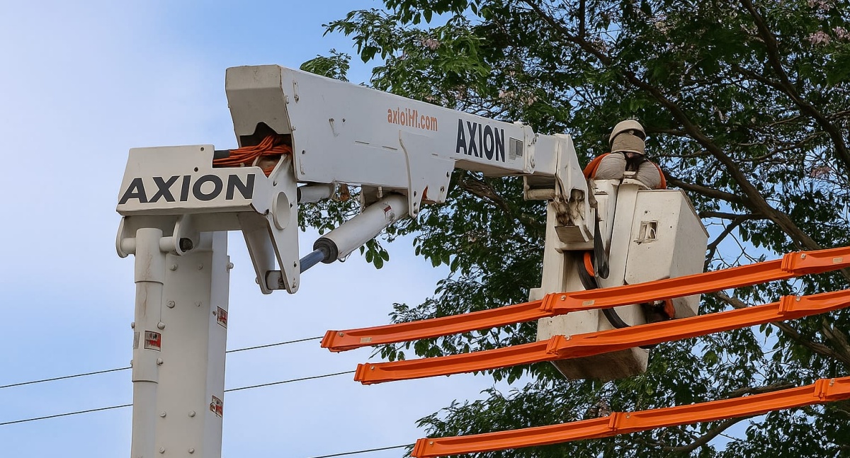 https://newsrondonia.com.br/noticias/2025/07/07/energisa-alerta-sobre-riscos-do-plantio-de-arvores-proximo-a-rede-eletrica/