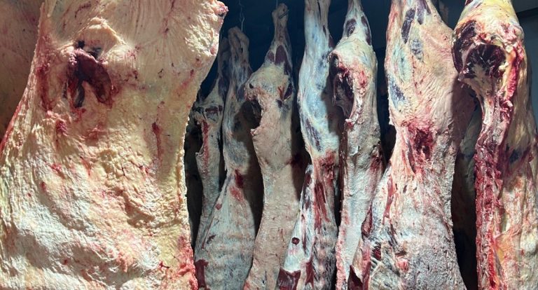 Veterinários da Semagric garantem a qualidade dos alimentos de origem animal