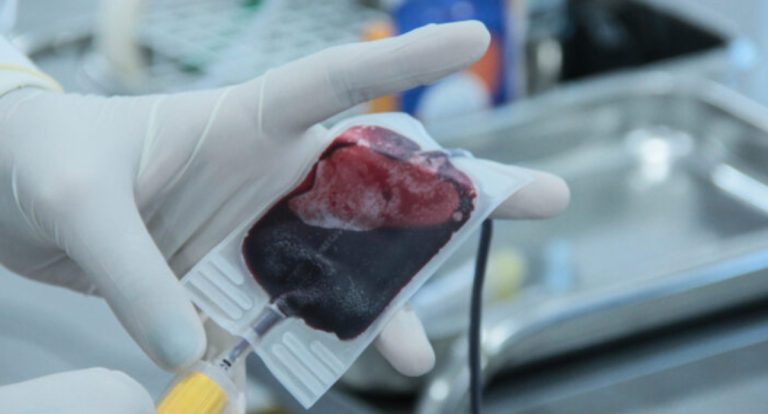 Com estoques de sangue em baixa em Porto Velho, Fhemeron faz apelo por doações - News Rondônia