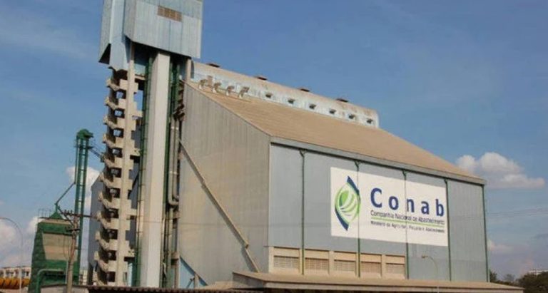 Conab inicia pesquisa com usinas sobre safra 2025/2026 de cana-de-açúcar