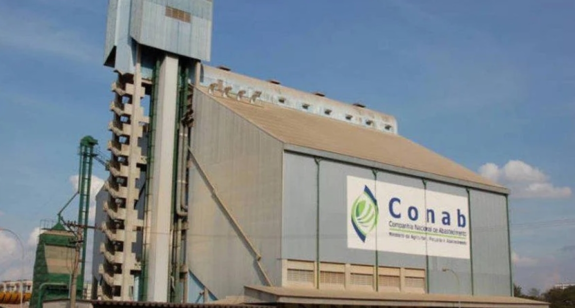 Conab inicia pesquisa com usinas sobre safra 2025/2026 de cana-de-açúcar