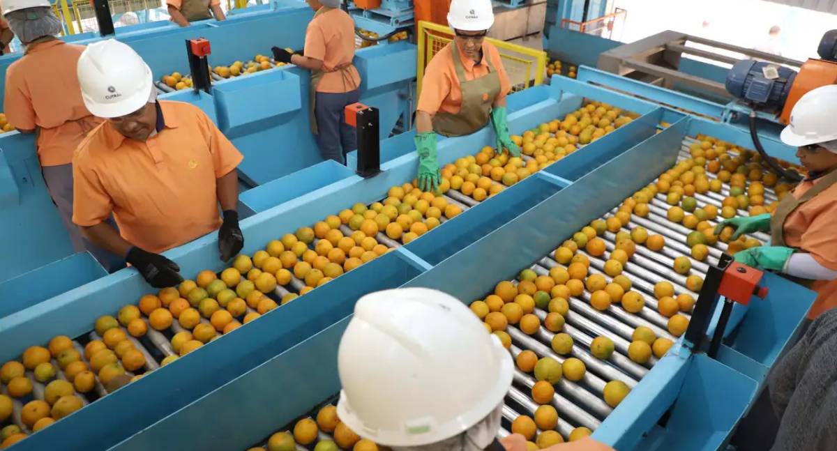 Confira a lista dos produtos brasileiros que não serão taxados pelos EUA