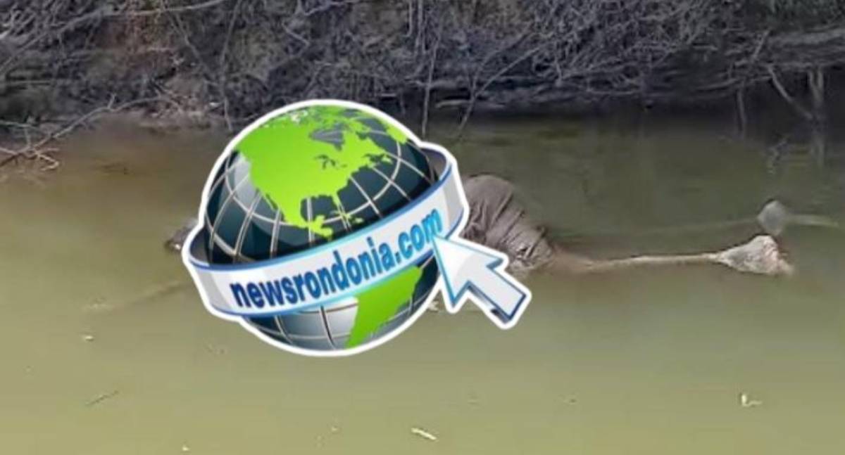 Corpo é encontrado boiando no Rio Candeias