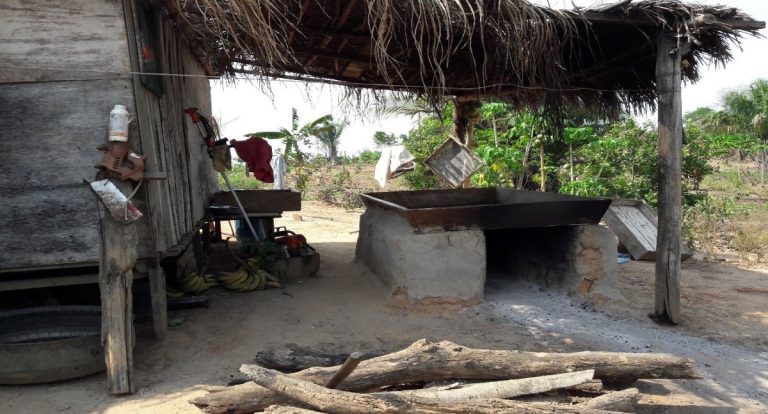 Da identidade ribeirinha brasiviana à identidade camponesa amazônica – Por Marquelino Santana - News Rondônia