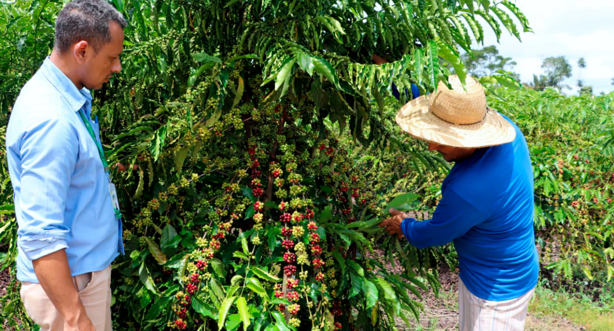Governo de Rondônia destaca avanço em saúde, agricultura e infraestrutura de 7 a 11 de julho