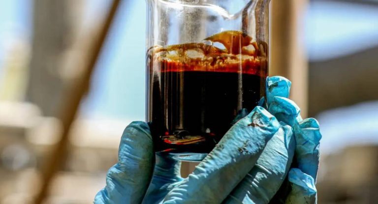 EUA compram 8% do petróleo exportado pela Petrobras, ficando fora do tarifaço
