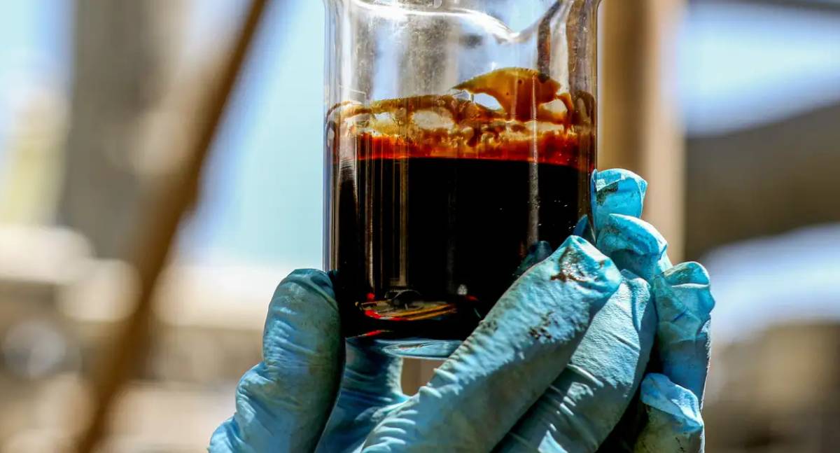 EUA compram 8% do petróleo exportado pela Petrobras, ficando fora do tarifaço