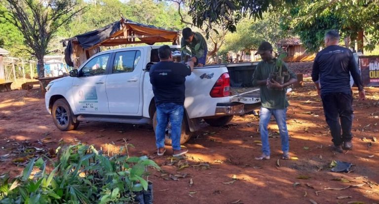 Governo de RO doa mais de mil mudas para indígenas Sakurabiat em Alto Alegre dos Parecis - News Rondônia