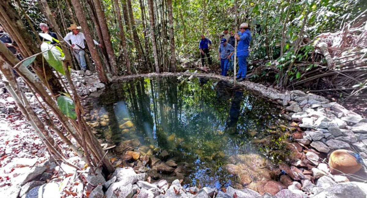 Governo de RO realiza visita técnica ao Projeto Sustentável da Bacia do Rio Palmeiras