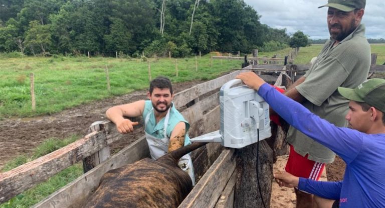 Governo de Rondônia investe em tecnologia para dobrar produtividade leiteira - News Rondônia