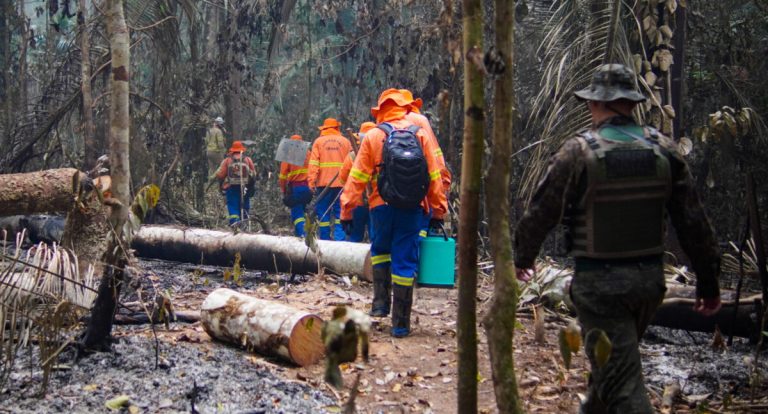 Governo de Rondônia reforça combate às queimadas com fiscalização e educação ambiental