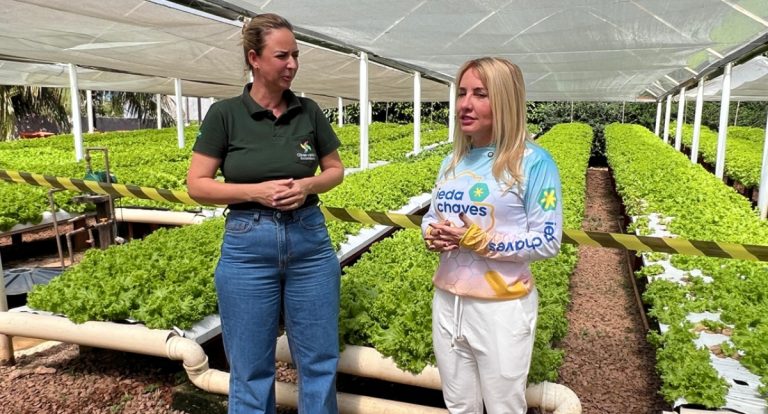 Ieda Chaves investe mais de R$ 90 mil para impulsionar produção agrícola em Nova Mutum Paraná - News Rondônia