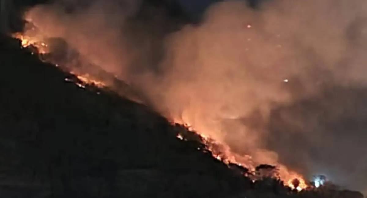 Lula lamenta morte de servidores do IBGE em combate a incêndio no DF