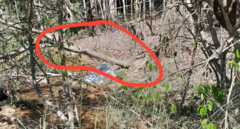 Motorista morre em acidente na BR-435 após pneu estourar