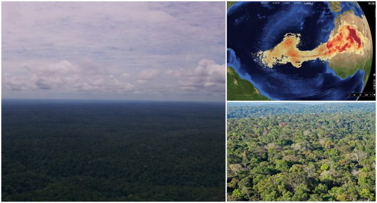Nuvem de poeira do deserto do Saara está chegando em direção a Amazônia - News Rondônia