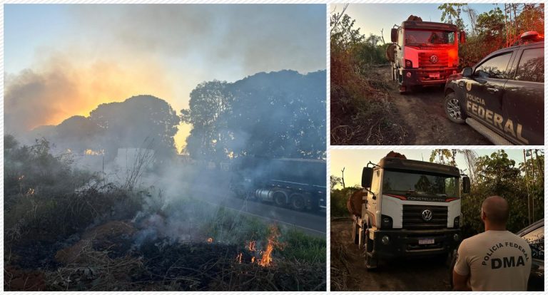 Operação Sentinelas da Amazônia 2025 flagra transporte ilegal de madeira em área protegida em Rondônia - News Rondônia