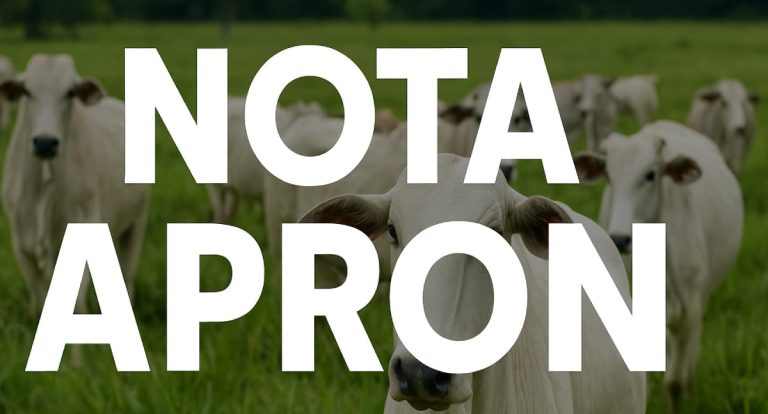 Pecuaristas de Rondônia alertam para impacto de tarifa de 50% sobre carne bovina nos EUA - News Rondônia