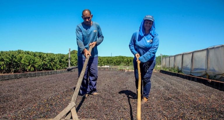 Com apoio do governo de RO, cafeicultores como Silvani e Maurício transformam suas vidas no campo - News Rondônia