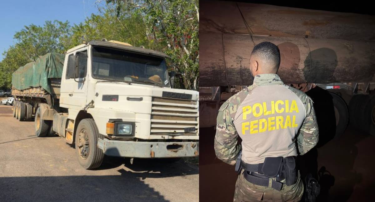 PF faz prisões por transporte ilegal de madeira