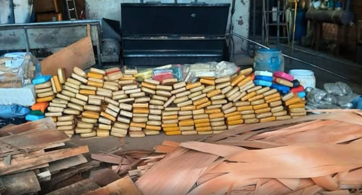 Polícia Civil incinera mais de meia tonelada de drogas em Vilhena