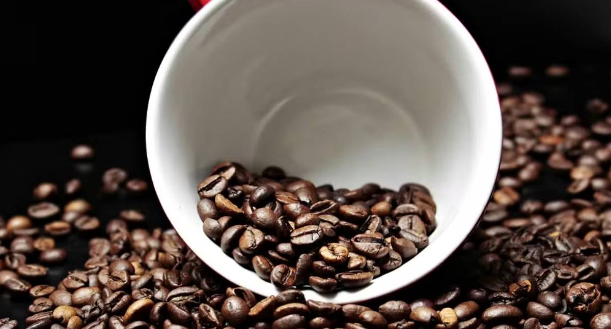 Preço do café para o consumidor cai pela 1ª vez em um ano e meio