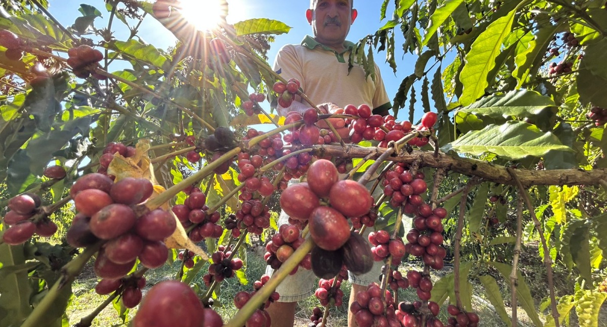 Prefeitura de Porto Velho leva benefícios a agricultores do Joana D’Arc durante encontro da mandiocultura