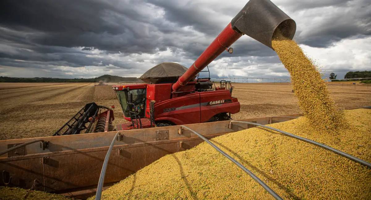Produção brasileira de Grãos deve ser 14,2% maior em Safra Recorde