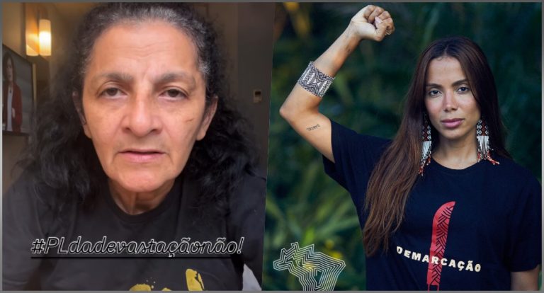 Projeto de Lei da Devastação: Neide Cardozo encabeça campanha contra o PL que flexibiliza regras para os crimes ambientais - News Rondônia