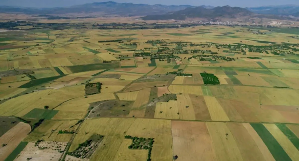 Projeto Regulariza Rural oferece apoio gratuito para regularização ambiental em RO