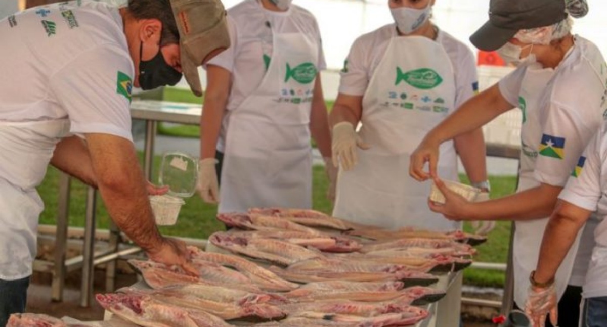 Rondônia é chamada a liderar reação nacional contra exigências ambientais com viés econômico