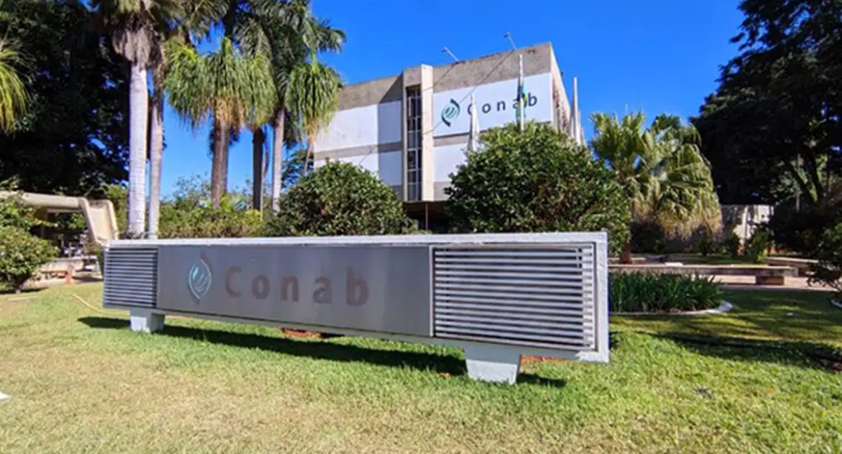 CONAB São Paulo entrega 38 toneladas de feijão da agricultura familiar em ações contra a fome