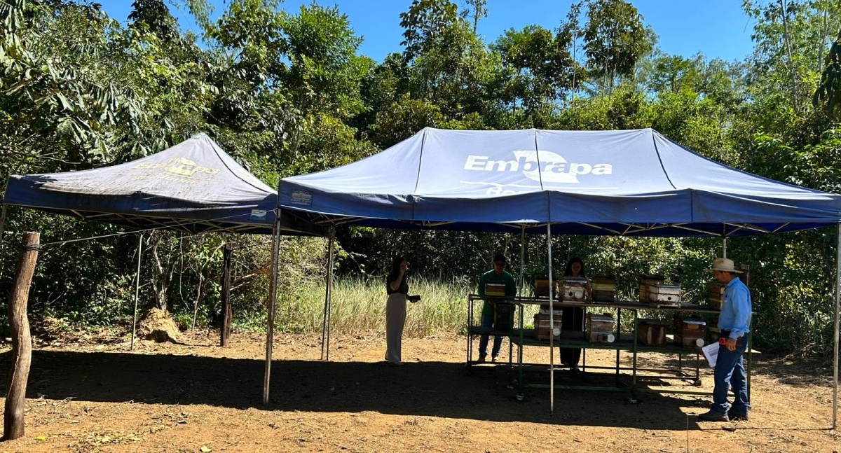 Semagric e Embrapa alinham detalhes para o 1º Workshop da Amazônia Ocidental sobre Meliponiculturav