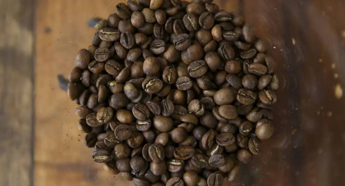 Tarifas dos EUA Podem Impactar Vendas de Suco, Café, Carne e Frutas do Brasil