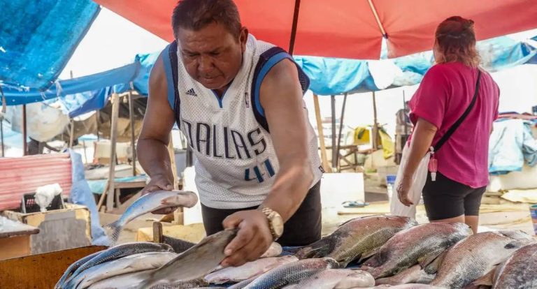 Taxação dos EUA impacta exportadores brasileiros de Pescados e Cítricos