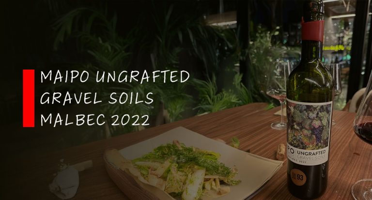 VINHO EM DESTAQUE: Maipo Ungrafted Gravel Soils Malbec 2022 – A alma chilena entre pedras e liberdade - News Rondônia