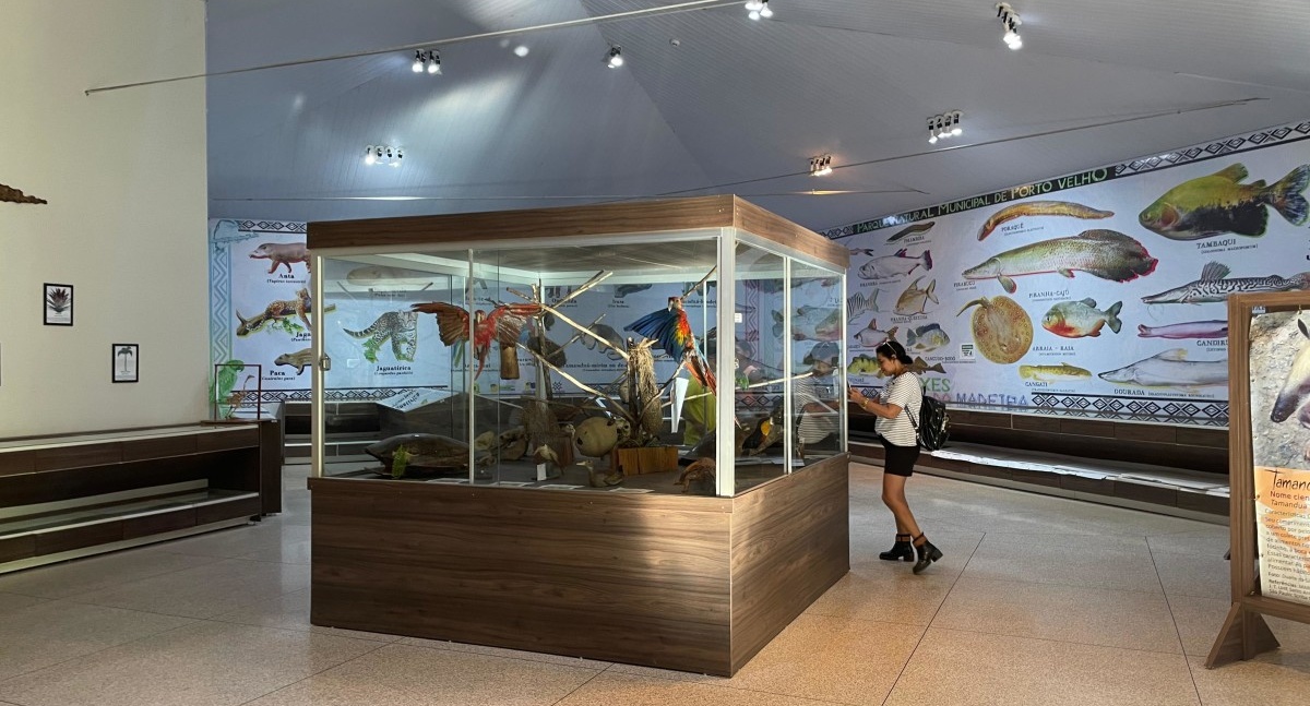 Museu do Parque Natural encanta com mais de 150 espécies da fauna amazônica em Porto Velho