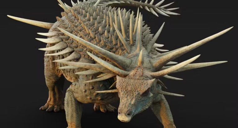 Fóssil raro de dinossauro coberto por espinhos surpreende cientistas - News Rondônia