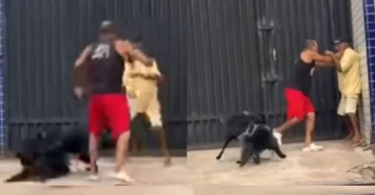 Tutores entram em briga física em Belém após cães se cumprimentarem cheirando o traseiro um do outro - News Rondônia