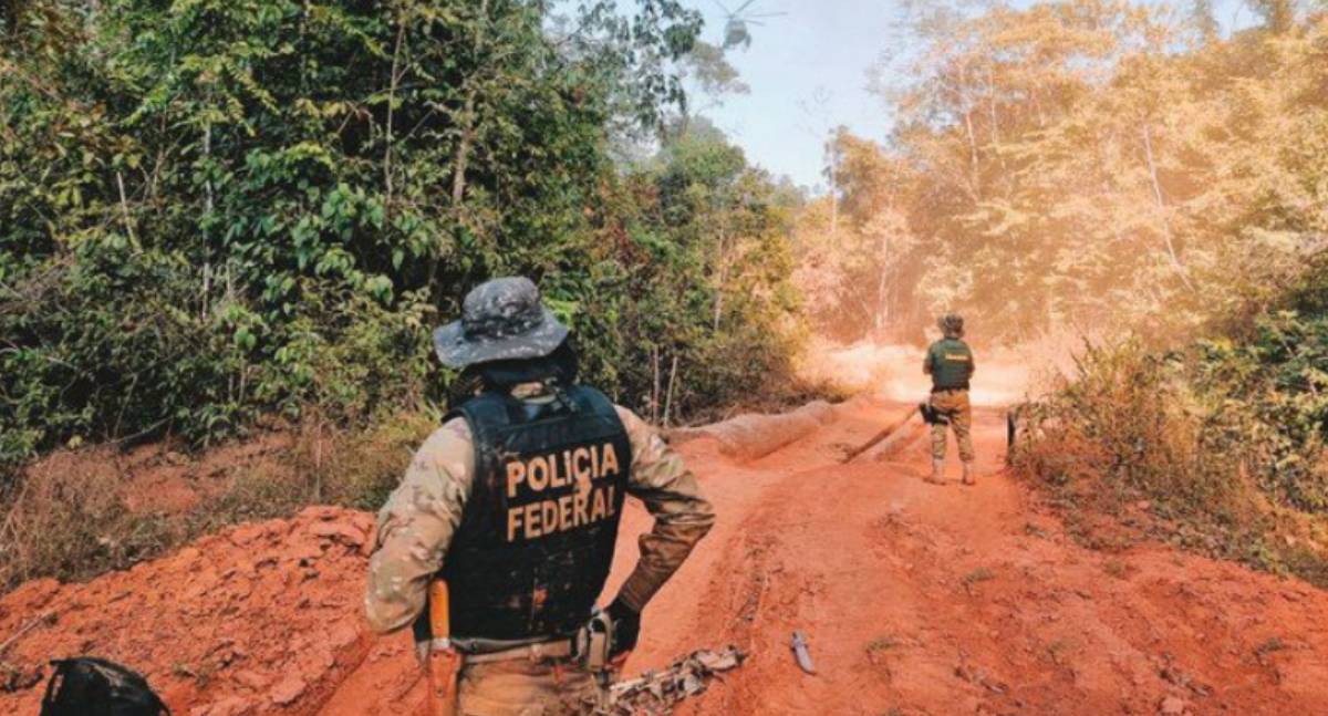 A fiscalização por instituições federais reduziu em 90% o desmatamento ilegal, queimadas e furto de madeira em Rondônia